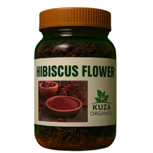 Hibiscus Flower